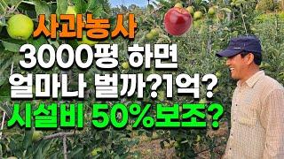 억대연봉? 사과농사 3000평 수익은? 장단점 시설비용, 보조50%?