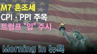 M7 혼조세 / CPI·PPI 주목 / 트럼프 "입" 주시 #모닝인뉴욕