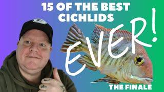 15 of the BEST CICHLIDS EVER | Part 3 The Finale