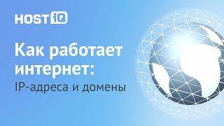 Что такое домен и IP адрес сайта