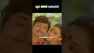 ಶೃತಿ ಸೇರಿದೆ ಹಿತವಾಗಿದೆ ಸಾಂಗ್ | shruthi seridaaga song | Rajkumar songs #sjanaki#shorts