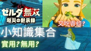 薩爾達無雙 災厄啟示錄 13個有用無用小知識集合 | 無雷，安心觀看