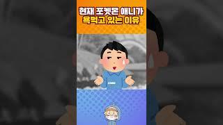 현재 포켓몬 애니가 욕먹고 있는 이유.jpg