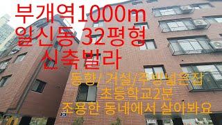 634부개역1000m 일신동32평형 거실 주방넓은집/ 동향 초등학교2분/ 조용한동네 원하시는분