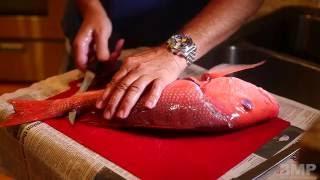 How to Fillet a Red Snapper Fish  ©Brett Martin Productions