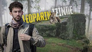 LEOPARIN İZİNDE ISSIZ ORMANDA İZİNİ BULDUK!