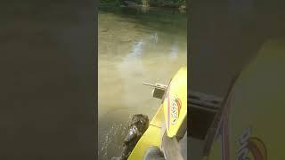 Iseki tc 13 across the river