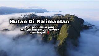 HUTAN KALIMANTAN YANG SEBAGIAN BELUM TERJAMAH