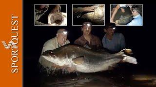 MONSTER Nile Perch on the Fly in Cameroon