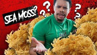 Sea Moss: Can It Really Help You With Weight Loss?