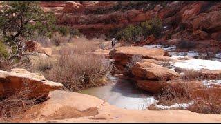 Road Canyon, Cedar Mesa, Bears Ears National Monument, Utah