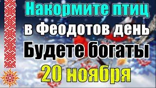 20 ноября по народному календарю день Феодота Ледостава Анкирского. Чего нельзя делать. Приметы