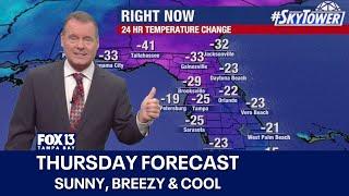 Tampa weather | Sunny, breezy & cool