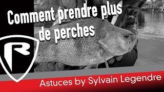 ***FOX RAGE TV*** ASTUCES PERCHES BY SYLVAIN LEGENDRE