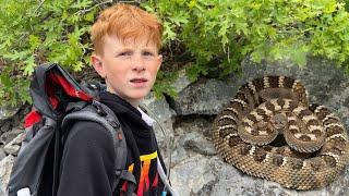 RATTLESNAKE ON OUR HIKE