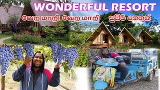 THAILAND RESORT | SEEDLESS GRAPES GARDEN | องุ่นไร้เมล็ด | FARM STAY @ PAI [TRAVEL WITH NUSKY ]