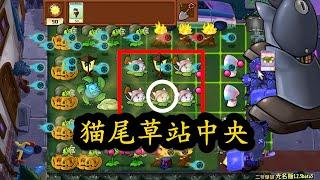 Pvz：火炬加机枪：猫尾草站中央【猪哥游戏解说】