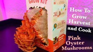 How To Grow, Harvest, and Cook Pink Oyster Mushrooms - Using the Back To The Roots Mushroom Grow Kit