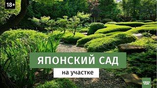 Японский сад на участке. Ландшафтный дизайн.