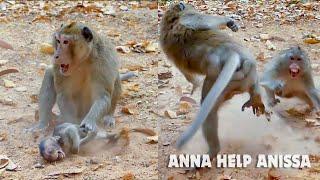 OMG! Unbelievable fighting monkey Anna vs Aron, Anna fight with King Aron to protect Annissa