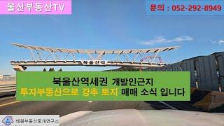 [울산부동산TV] 북울산역세권 개발호재로 창평도 투자하기 딱 좋은 물건 소개합니다.