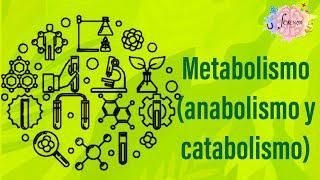 Metabolismo (anabolismo y catabolismo)