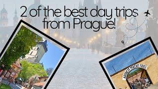 Discover The Top Day Trips To Take From Prague!