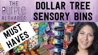 MUST HAVE DOLLAR TREE Sensory Bin Ideas