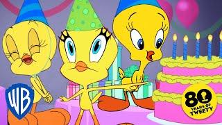 Looney Tunes | Happy Birthday Tweety! | @WB Kids