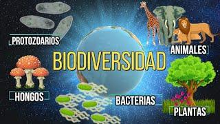 ¿QUÉ ES LA BIODIVERSIDAD?