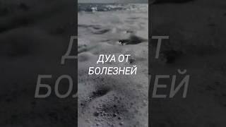 ДУА ДЛЯ ЗАЩИТЫ ОТ ТЯЖКИХ БОЛЕЗНЕЙ / #ислам #дуа #дуаотболезней #крепостьмусульманина #шортс #shorts