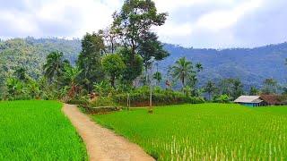 Kampung Idaman Yang Super Bersih, Airnya Curcor Warganya Ramah, Bikin Adem | Pedesaan Jawa Barat