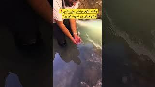 طبس #ایران #طبس #طبیعت #ایرانگردی #گردشگری #طبیعتگردی #ترند #ماهی #ماساژ #سفر #مشهد #travel #iran