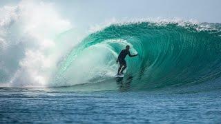 Tube Seekers and Jungle Dwellers