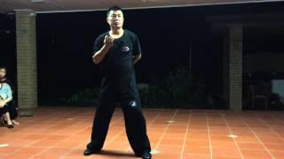 Master Su's Private Tai Chi Lesson - Demo 03