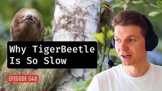 Episode 048: Why TigerBeetle Is So Slow, With Tobi!