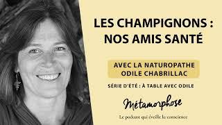 Les champignons : nos amis santé avec la naturopathe Odile Chabrillac