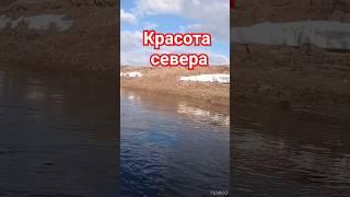 прогулка на лодке. #рыбалка. наш север.