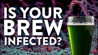 How to identify MOLD & other WEIRD stuff in your mead, beer, wine, or cider