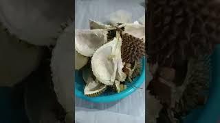 PRANK ISI DURIAN #shorts