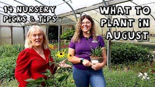 14 Plants for August || Top Picks & Growing Tips from Kilmurry Nursery