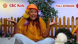 ASL Preschool Show | Hat (Silly Paws) | CBC Kids