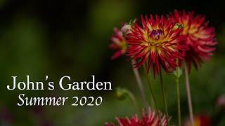 John's Garden at Ashwood Nurseries - Summer 2020