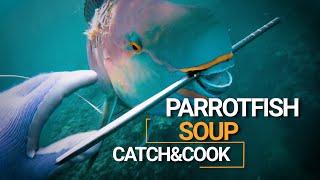 PARROTFISH (Uhu) SOUP! - SpearFishing Hawaii - CATCH and COOK -