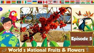Episode 5 | World's National Fruits and Flowers | Numismatics Academy | Change2e | WorldOLA