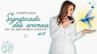 Compilado Significado dos Animais #1 | Aline Schulz