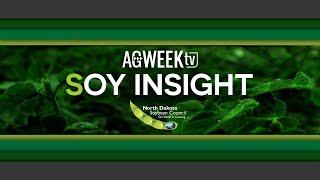 Soy Insight