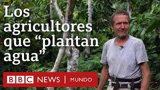 Los agricultores que convirtieron un desierto en un bosque | BBC Mundo