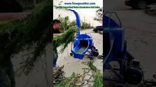 Small Farm Use Chaff Cutter Kadba Kutti Machine Forage Chopper Manufacturer Dealers #Shorts