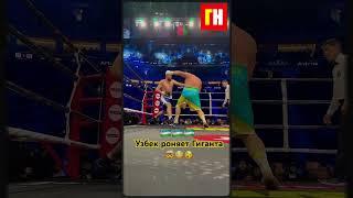 Баходир Джалолов на пути к чемпионству! Рейтинг WBC и перспективы